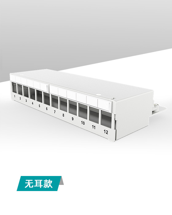 1U12口-屏蔽網(wǎng)絡(luò)空配架